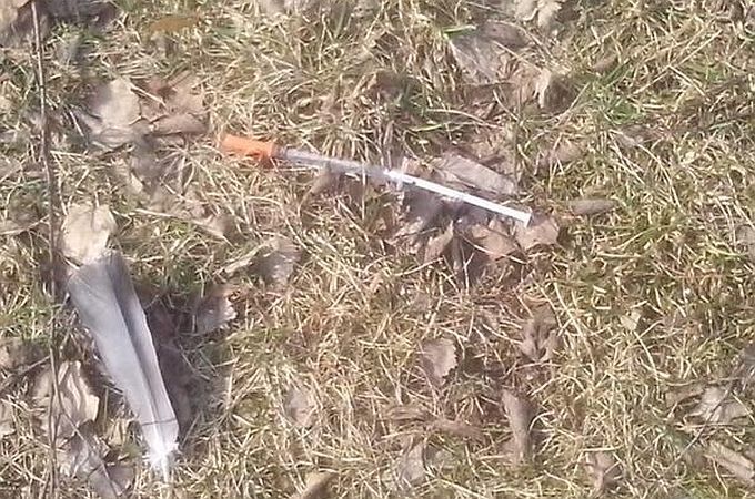 Aluksniesiem.lv raksta attēla aizvietotājs