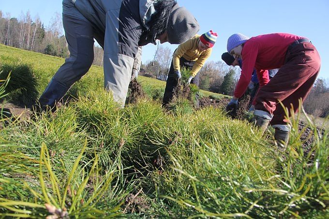 Autors: Agris Samcovs