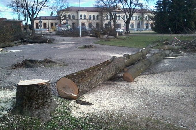 Autors: Agris Samcovs