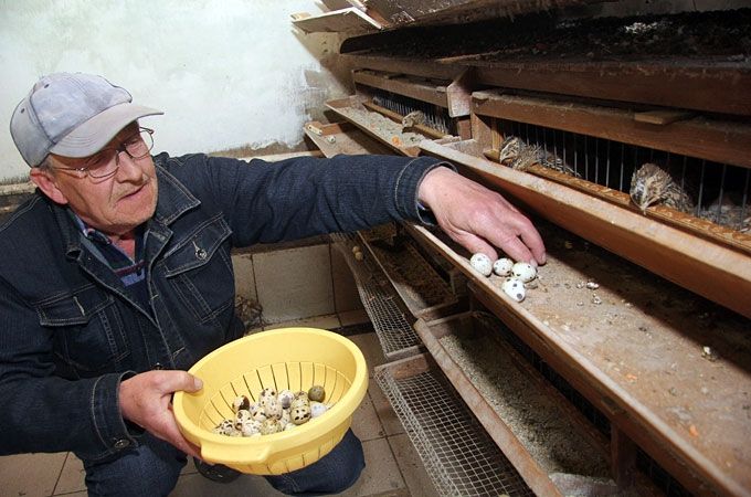 Autors: Agris Samcovs