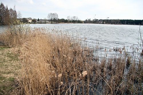 Autors: Agris Samcovs