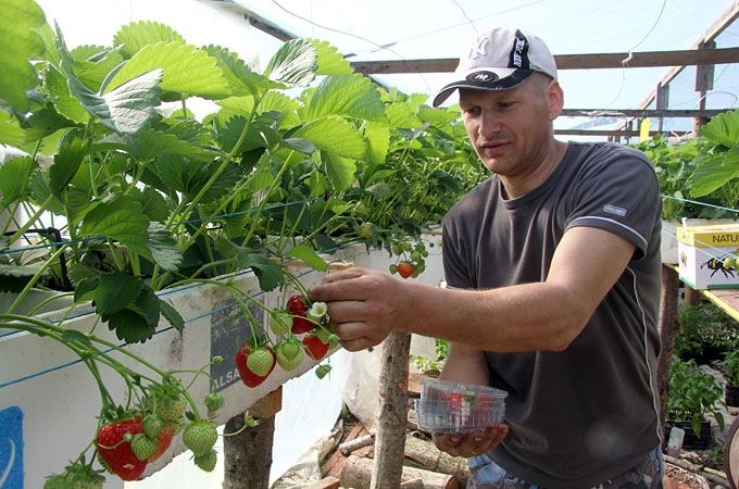 Autors: Agris Samcovs