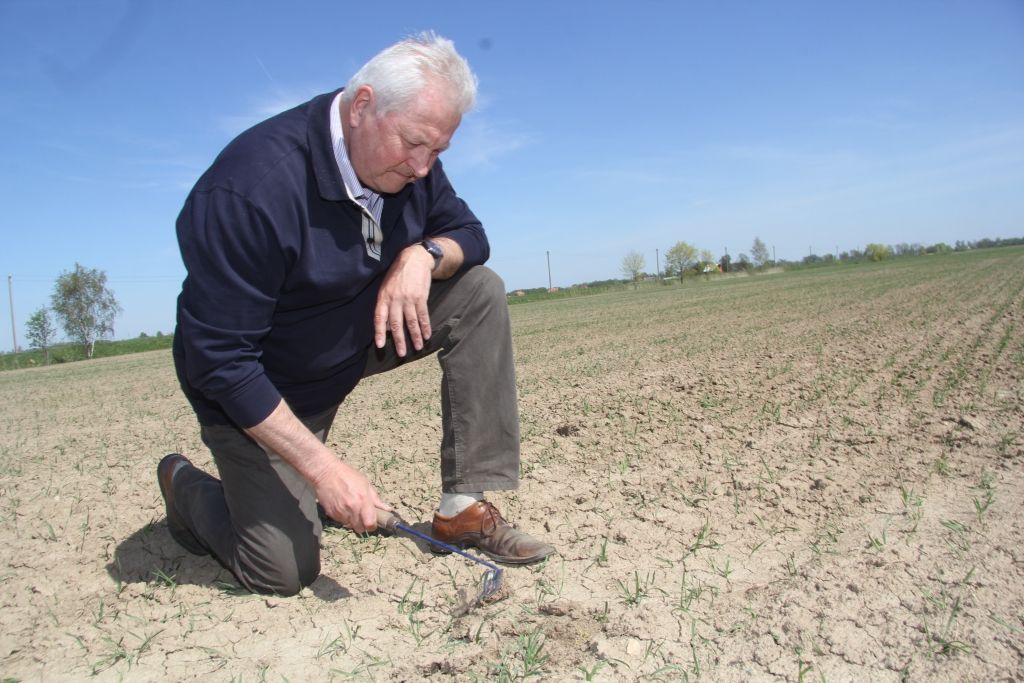 Autors: Agris Samcovs