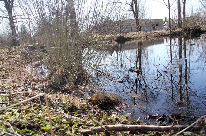 Autors: Agris Samcovs