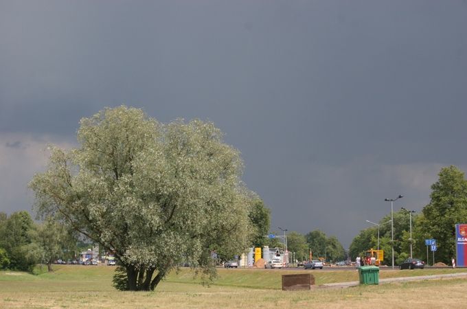 Autors: Agris Samcovs