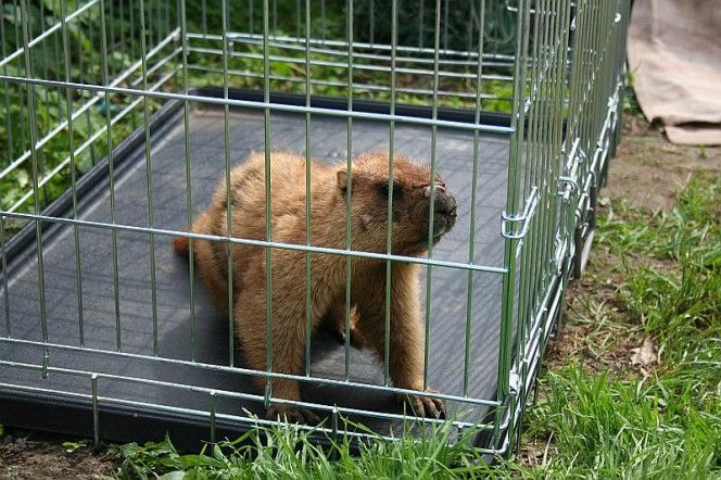 Autors: Linda Dombrovska, la.lv