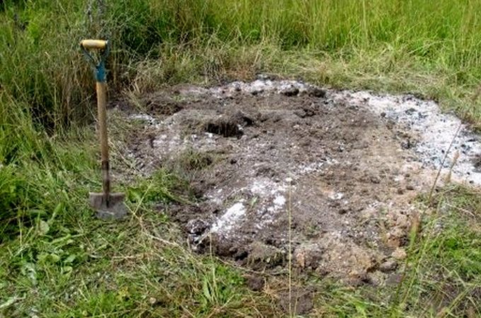 Ugunskura vieta, kur Krāslavas novada Robežnieku pagasta saimniecībā dedzināja slimās cūkas.
Autors: LETA