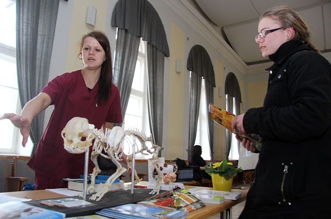 Autors: Agris Samcovs