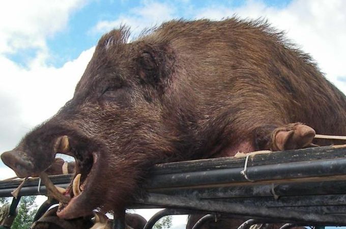 Autors: activerain.trulia.com