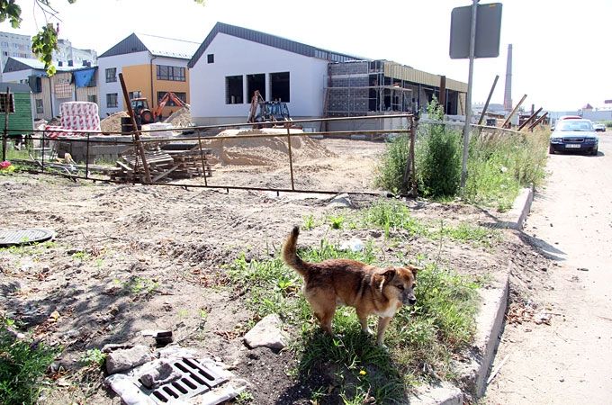 Aluksniesiem.lv raksta attēla aizvietotājs