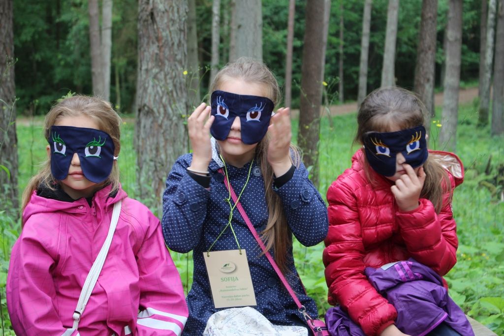 Aluksniesiem.lv raksta attēla aizvietotājs