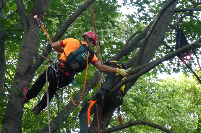 Lai arī finālsacensības čempionātā traucēja stiprs lietus, latviešiem izdevās sasniegt atzīstamus rezultātus.
Autors: no Jāņa Vilka albuma