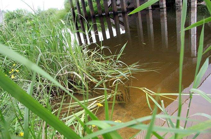 Platones upe
Autors: no ZZ arhīva