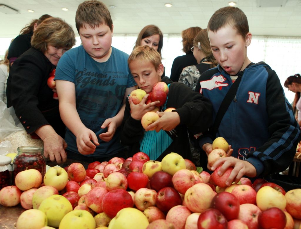 Aluksniesiem.lv raksta attēla aizvietotājs