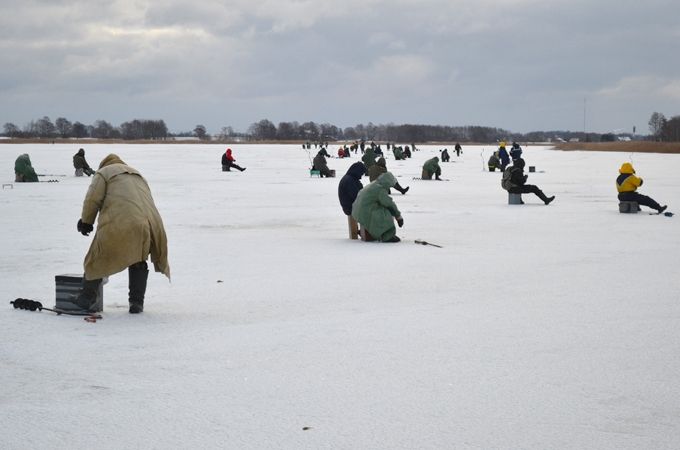 Autors: Guntars Auziņš