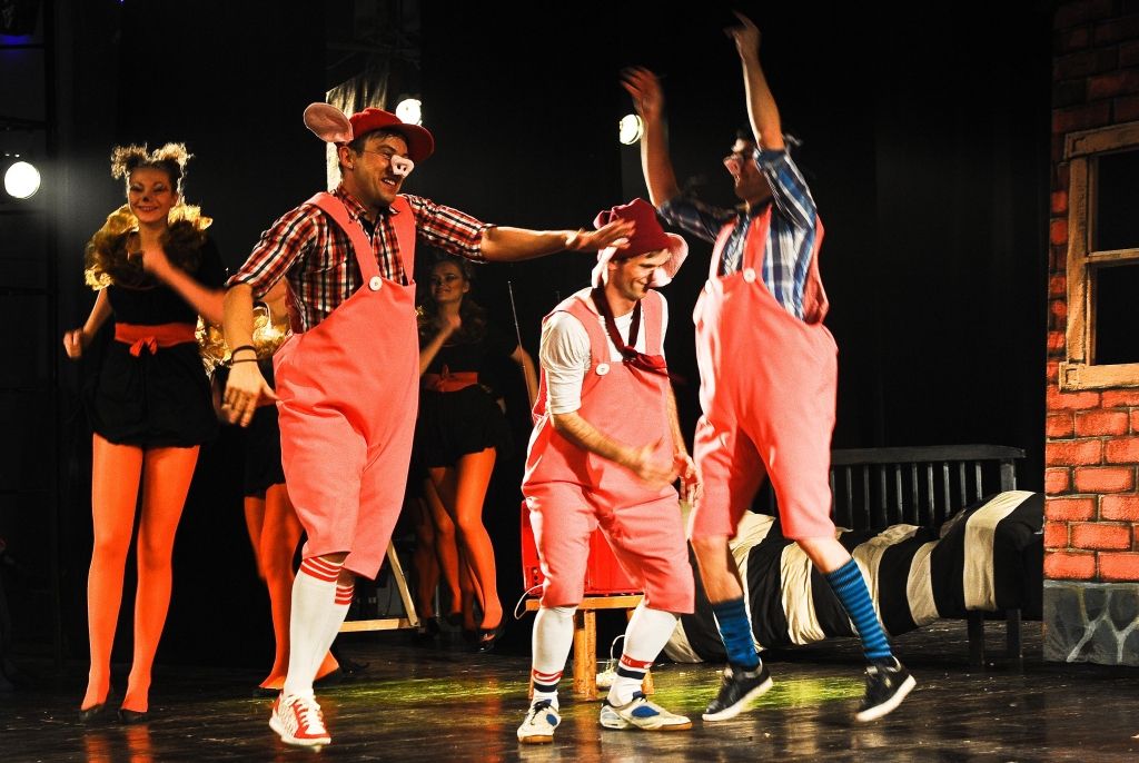 Aluksniesiem.lv raksta attēla aizvietotājs