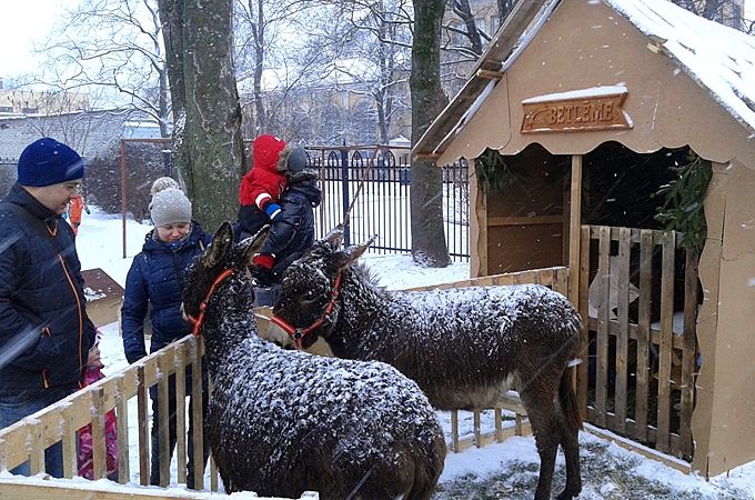 Autors: Ernests Treijs