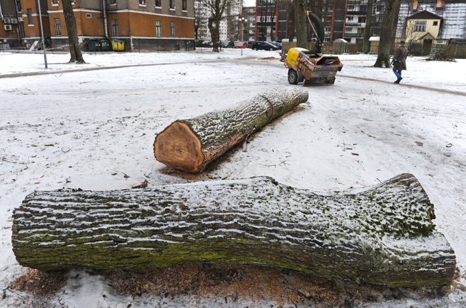 Autors: Raitis Puriņš