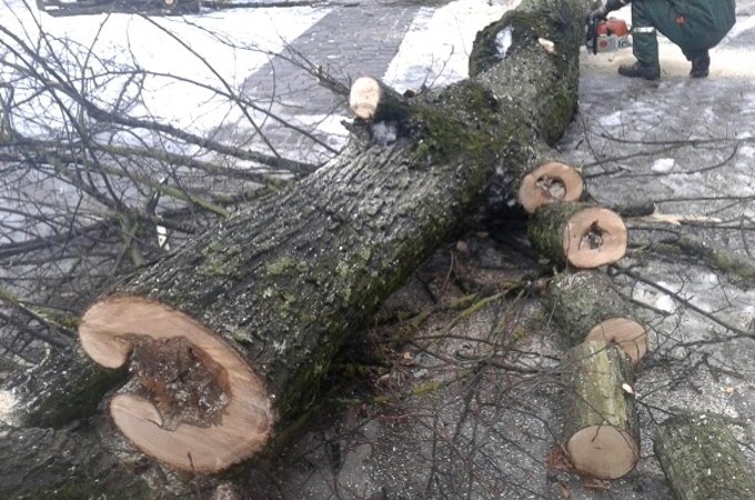 Autors: «Pilsētsaimniecība»