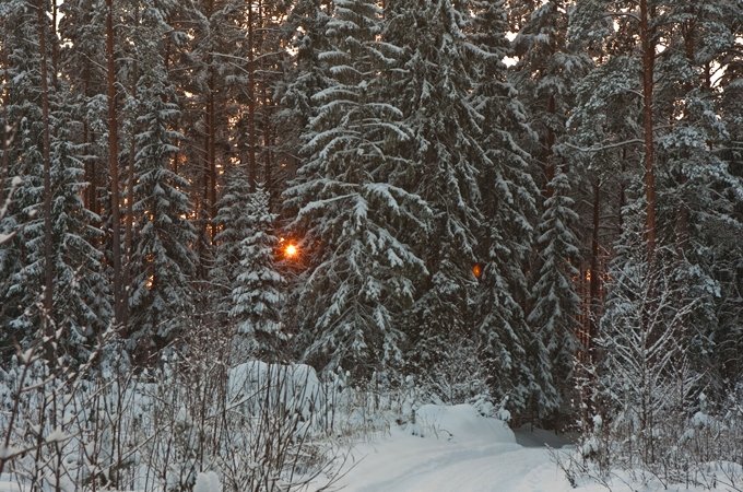 Autors: Raitis Puriņš