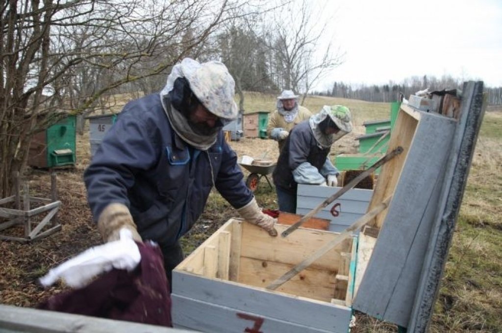 Aluksniesiem.lv raksta attēla aizvietotājs