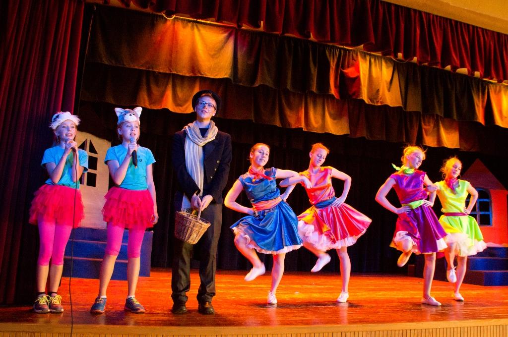 Aluksniesiem.lv raksta attēla aizvietotājs