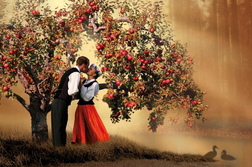 Aluksniesiem.lv raksta attēla aizvietotājs