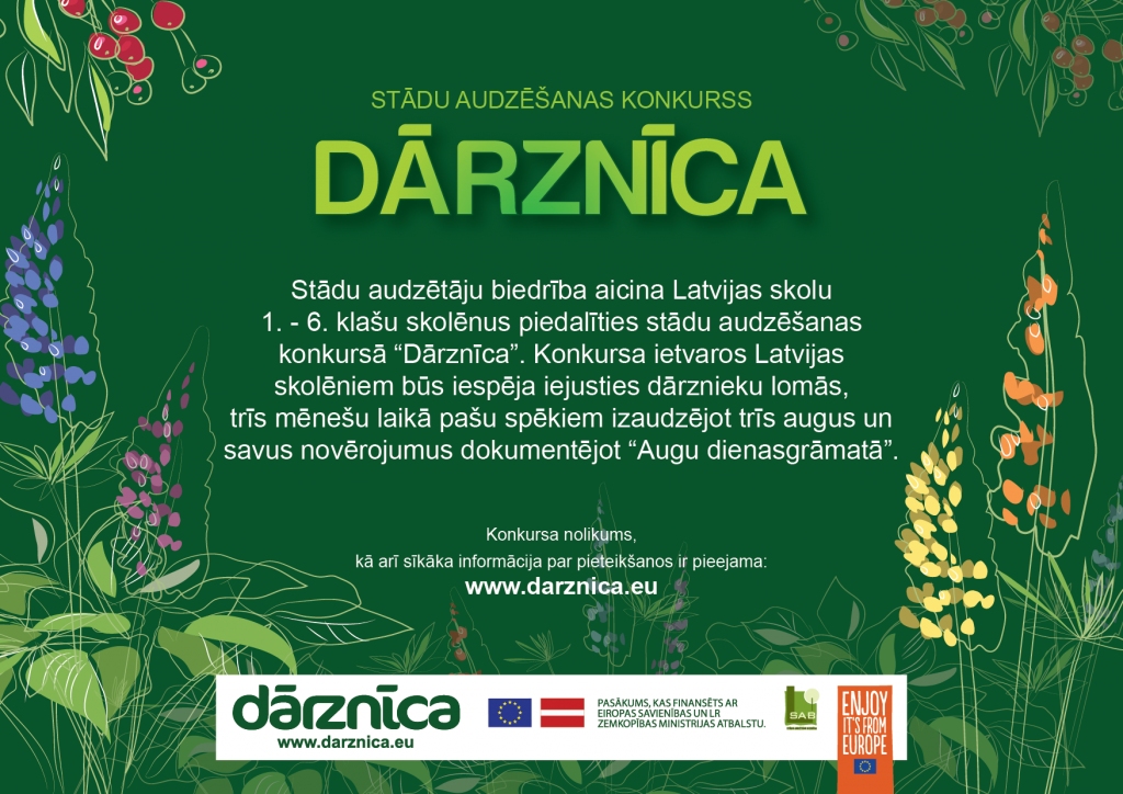 Aluksniesiem.lv raksta attēla aizvietotājs