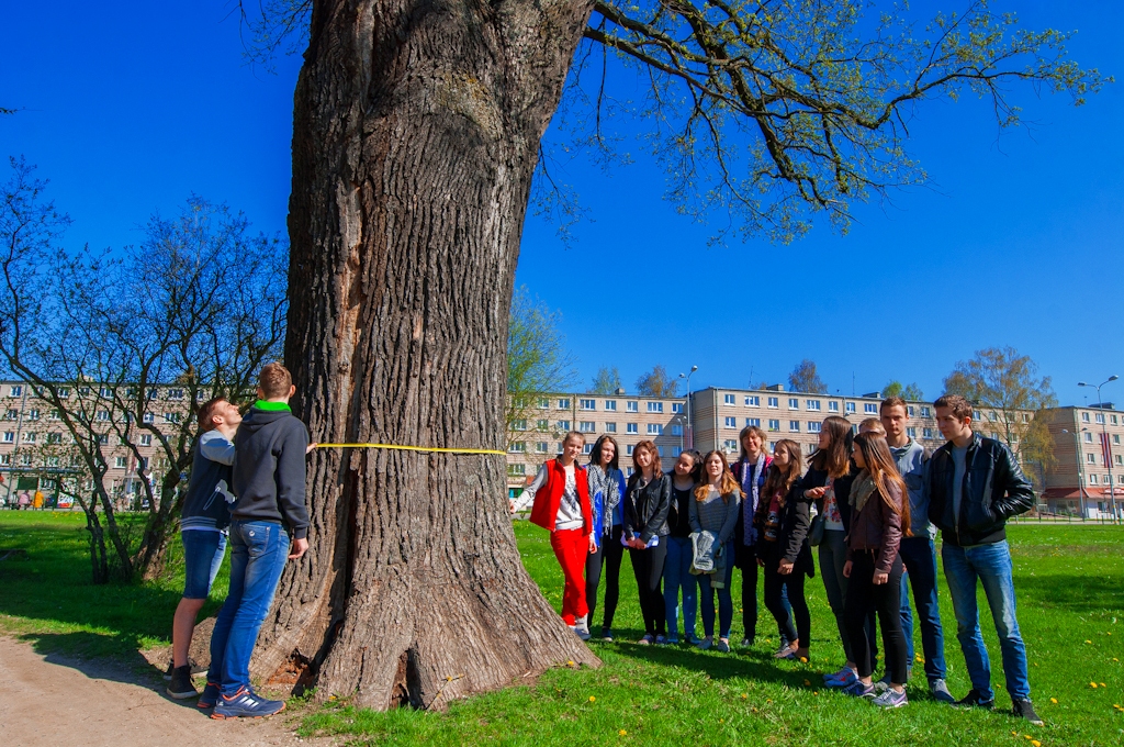 Aluksniesiem.lv raksta attēla aizvietotājs