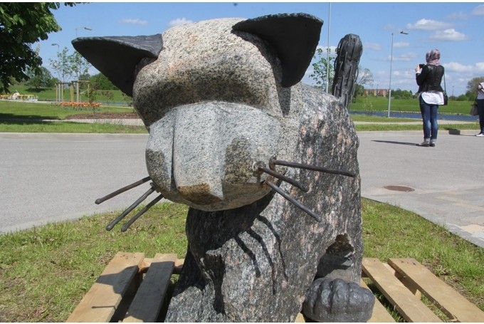 Aluksniesiem.lv raksta attēla aizvietotājs