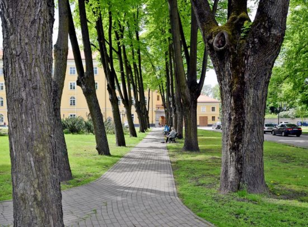 Aluksniesiem.lv raksta attēla aizvietotājs