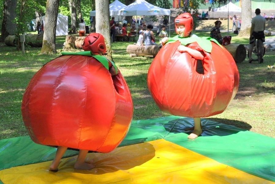 Aluksniesiem.lv raksta attēla aizvietotājs