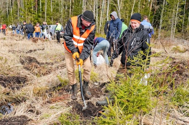Aluksniesiem.lv raksta attēla aizvietotājs