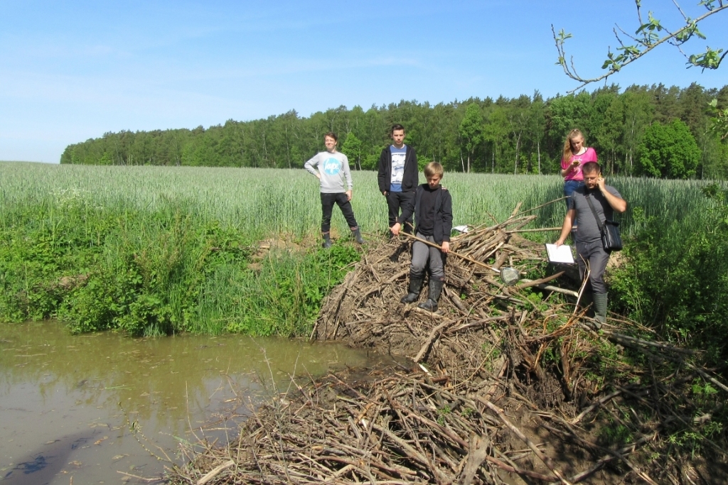 Aluksniesiem.lv raksta attēla aizvietotājs