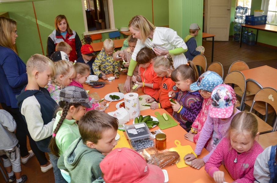 Aluksniesiem.lv raksta attēla aizvietotājs