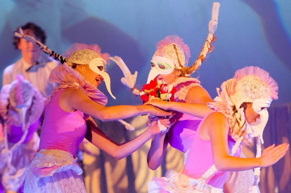 Aluksniesiem.lv raksta attēla aizvietotājs