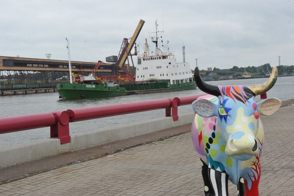 Aluksniesiem.lv raksta attēla aizvietotājs