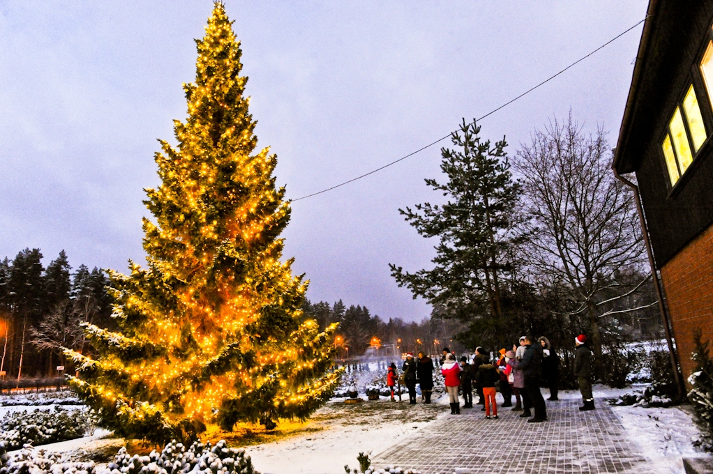 Aluksniesiem.lv raksta attēla aizvietotājs