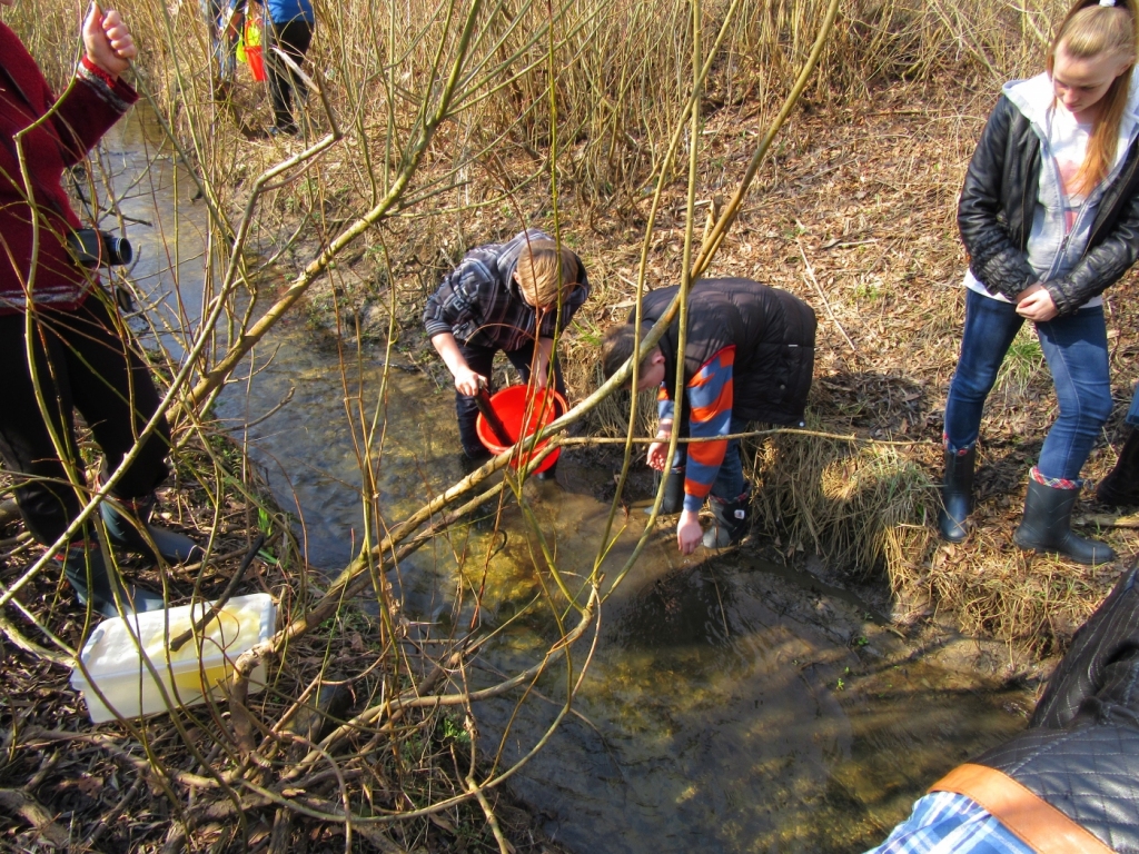 Sodītes grāvja ekosistēmas pētniecību pērn uzsāka Aizupes pamatskolas 7. klases skolēni.