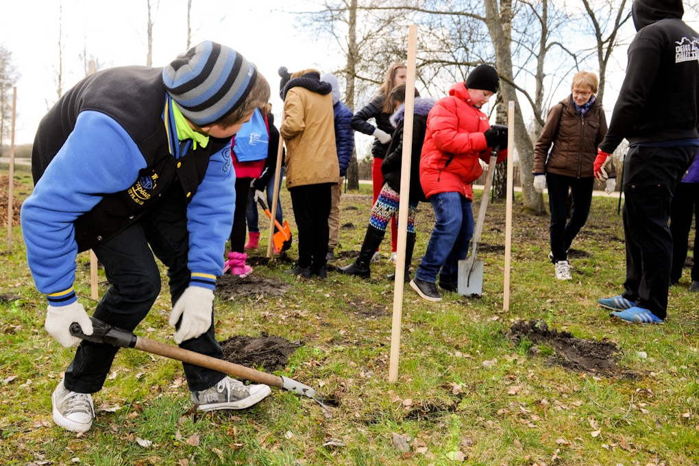 Aluksniesiem.lv raksta attēla aizvietotājs
