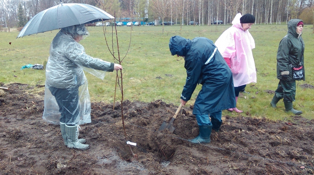 Aluksniesiem.lv raksta attēla aizvietotājs