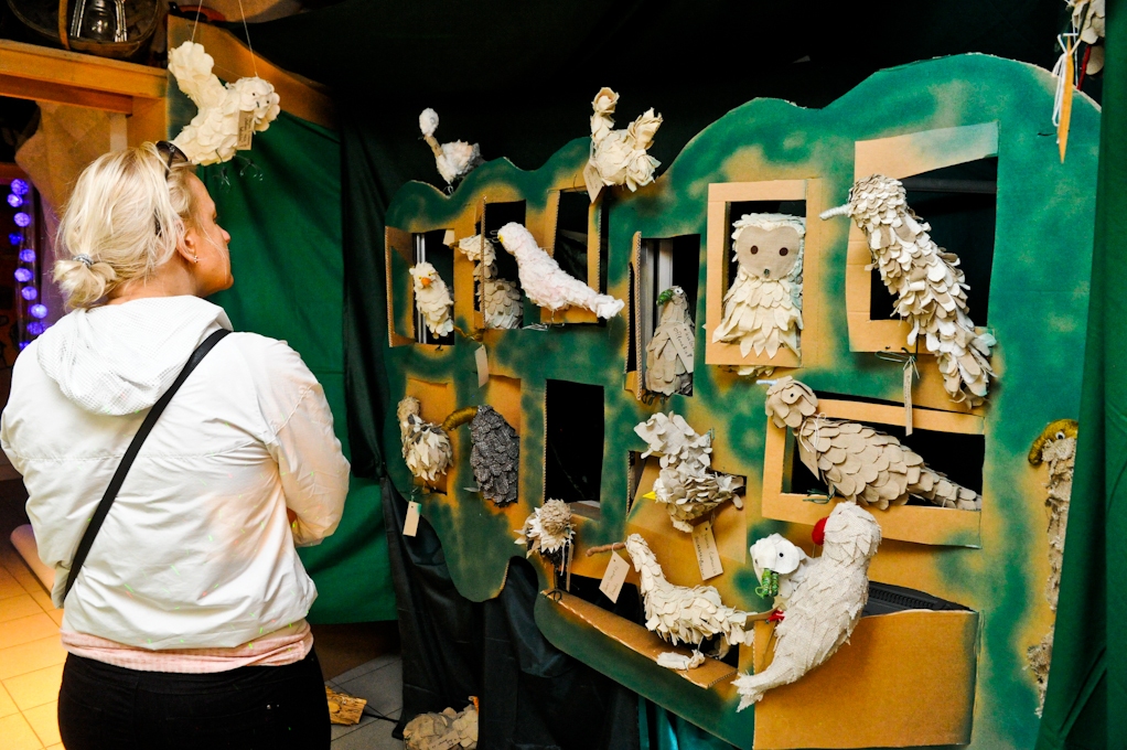 Aluksniesiem.lv raksta attēla aizvietotājs