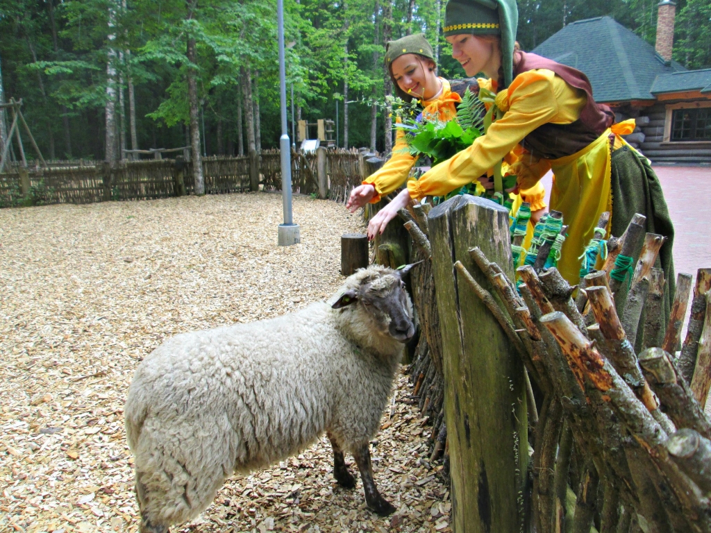 Aluksniesiem.lv raksta attēla aizvietotājs