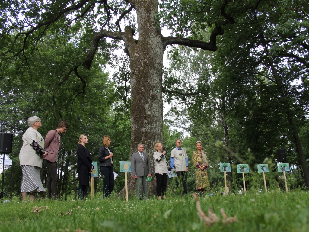 Aluksniesiem.lv raksta attēla aizvietotājs