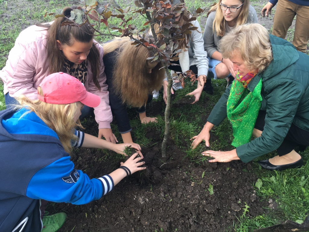 Aluksniesiem.lv raksta attēla aizvietotājs