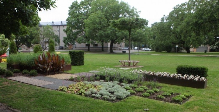 Aluksniesiem.lv raksta attēla aizvietotājs