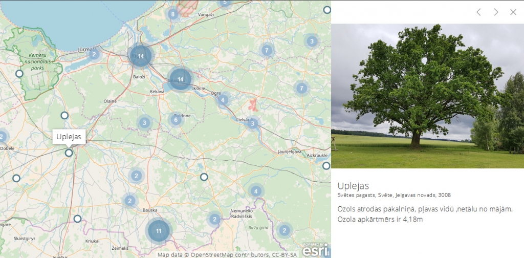 Aluksniesiem.lv raksta attēla aizvietotājs