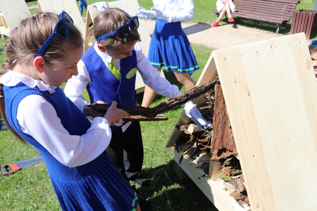 Aluksniesiem.lv raksta attēla aizvietotājs