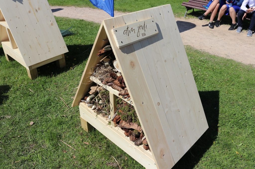 Aluksniesiem.lv raksta attēla aizvietotājs