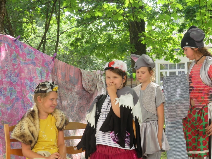 Aluksniesiem.lv raksta attēla aizvietotājs